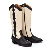 Женские сапоги Pikolinos W5Z-9546 Black TLC1